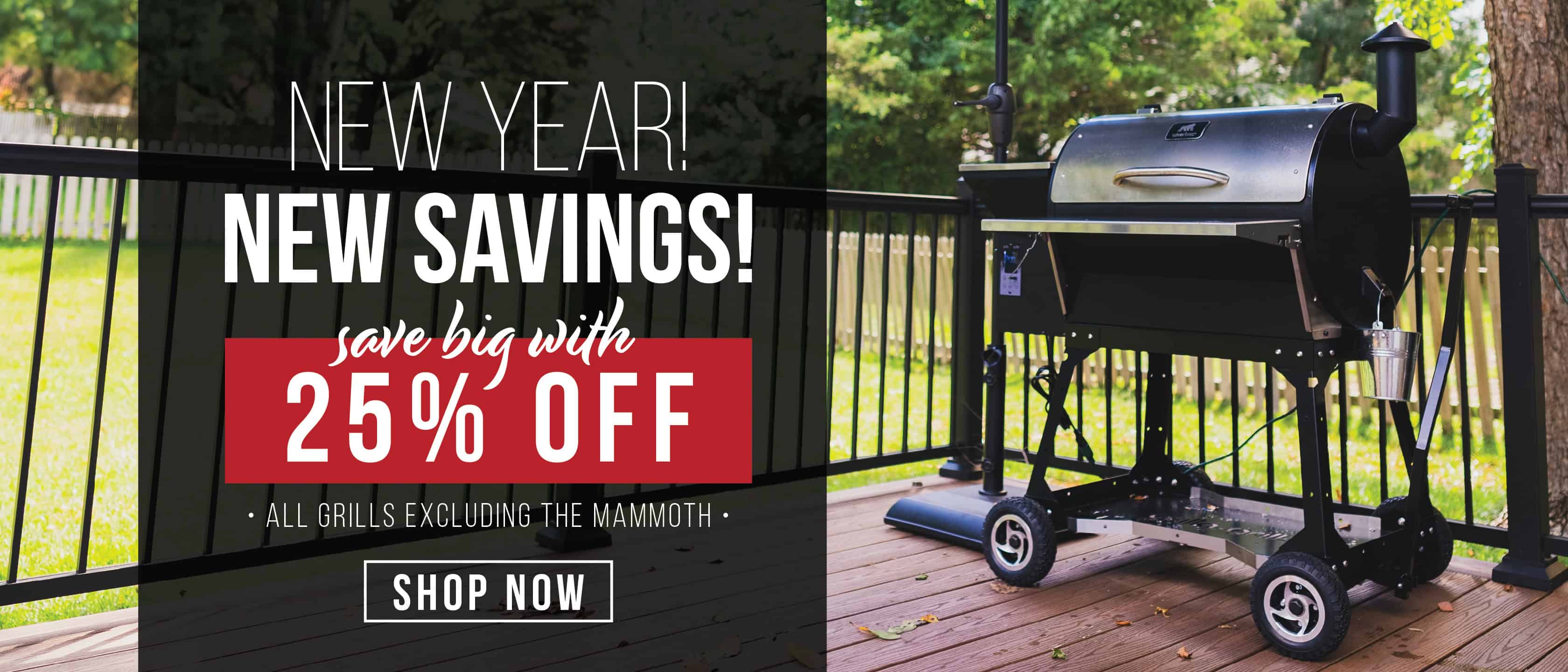 New Year, New Savings!